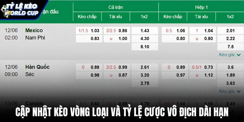 Tỷ lệ cược vô địch và kèo theo từng giải đấu bóng đá